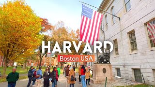 HARVARD UNIVERSITY Campus Tour 2024 4K| Walking Tour Harvard University, Boston, Massachusetts USA