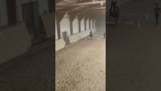 Mal ein anderes Video #horse