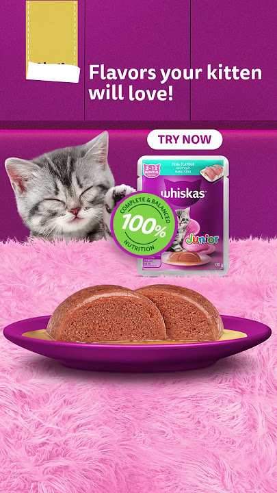 Whiskas® has a new recipe for your kitten!