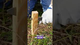 Ben Petersens We Banter Put To The Test Will It Knife?