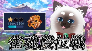 【雀魂】なんの脈絡もなく段位戦を始める猫 38【Vtuber】