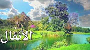 سورة الأنفال للقارئ وديع اليمني - بصوت جميل