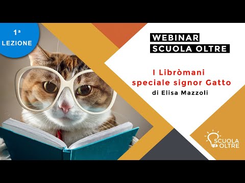 Video: Il gatto ordinato contiene silice?