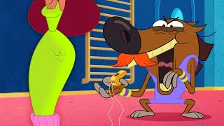 (NEW) ZIG AND SHARKO | PERSONAL TRAINER (SEASON 3) New episodes | Cartoon for kids