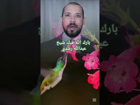 اكسبلور دينيه اسلامي شيخ عبدالله قصف جبهات في وجهه المنافقين