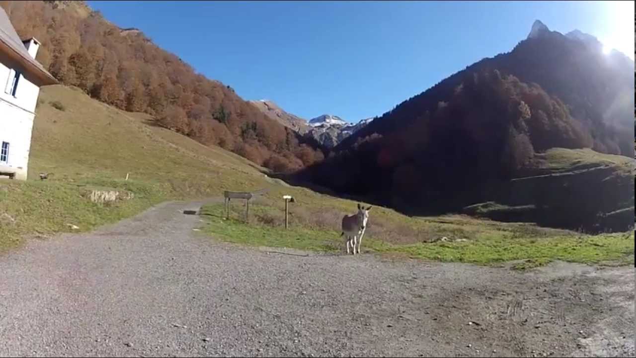Rencontre avec un élu local