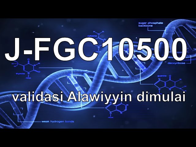 J-FGC10500 : validasi nasab Alawiyyin dimulai class=