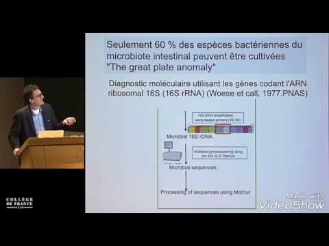 Video: Genetische Charakterisierung Der Antimikrobiellen Resistenz Von Shigella Flexneri 1c-Isolaten Von Patienten In Ägypten Und Pakistan