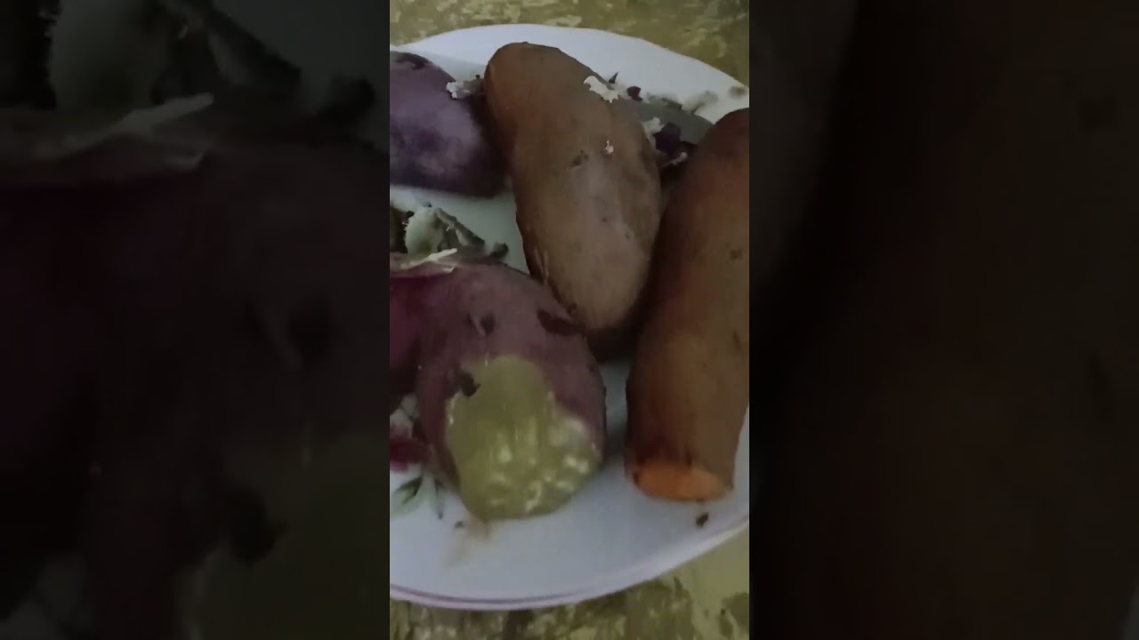 camote from Philippines 