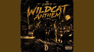 Information Wildcat Anthem Guide