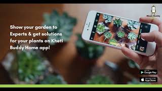 Expert Solution for your Plants on KhetiBuddy Home app screenshot 1