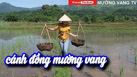 CUỘC SỐNG VÙNG QUÊ LẠC SƠN/MƯỜNG VANG BÌNH YÊN ĐẾN LẠ