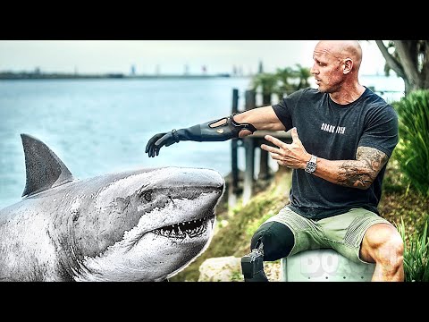 Prédateurs Faut Il Contrôler Les Requins Documentaire Reportage Film Complet