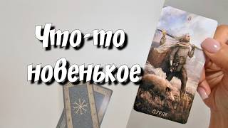 Что ждёт вашу пару в ближайшие 3 месяца ? Таро расклад #таро