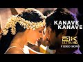 Kanave kanave  david  anirudh musical  soulful song  remastered in 4k