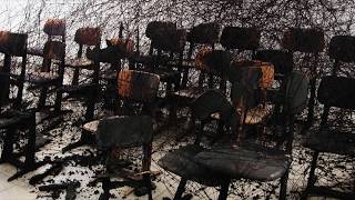 CHIHARU SHIOTA