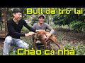 Cứu  Pitbull Thoát Khỏi Tử Thần| Hành trình Săn Bắt