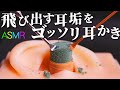 【ASMR】飛び出した耳垢をゴッソリ削り取る耳かきの音♡２倍に増量したフローラルスポンジ製のカリッカリの具材をステンレス耳かきと煤竹耳かきとジャンボ綿棒で鼓膜まで耳掃除【音好き】ピンセットのおまけ付♪