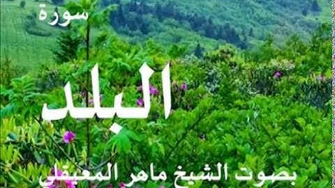 سورة البلد بصوت الشيخ / ماهر المعيقلي 90
