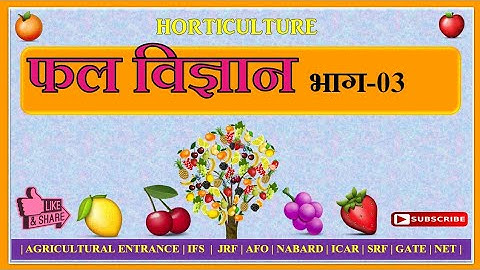Fruit science (Horticulture) Part - 3 important for all agricultural govt exams like JRF SRF BHU IBP