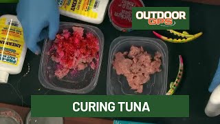 Outdoor GPS 6/20 Curing Tuna for Stuffer Baits with Scott Amerman