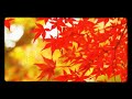 【⠀歌ってみた by諭吉(雪智)】 紅一葉 巡音ルカ(黒うさp)