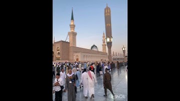 ماتيسر من سورة النحل آية (٣٥) 🕌💛🤍🌼✨...