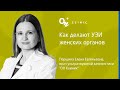 Как делают УЗИ женских органов - ОН Клиник & ДокторПРО Украина