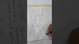 Aspirin & Paracetamol drugs Eng Chemistry Applied Science Mrs Mukta Agrawal