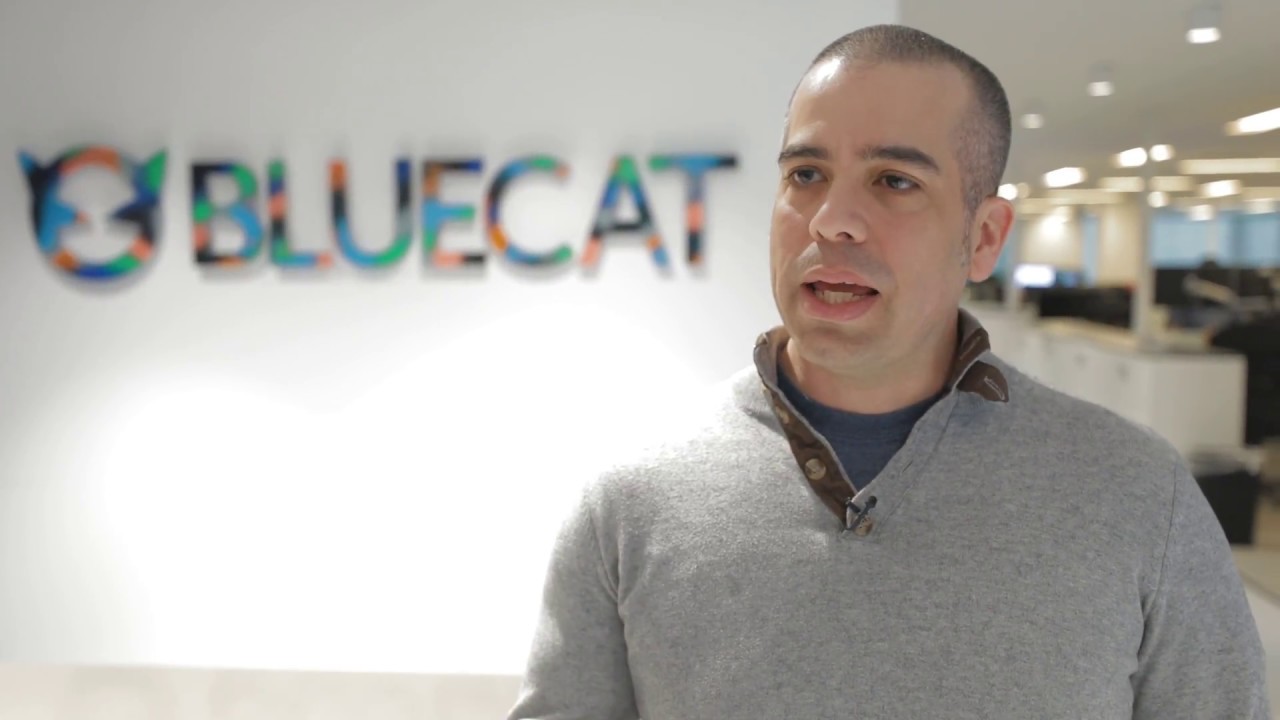 BlueCat Core Values: OWNERSHIP
