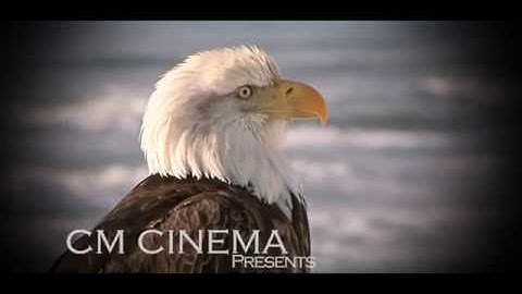 Movie Title Sequence- Emotions (Full Sequence)