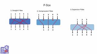 4. Straight P Box