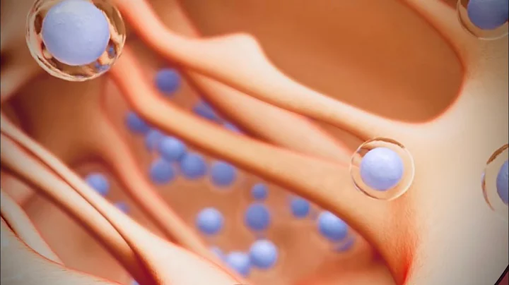 Stem Cells | Bone Marrow | Blood cells |stem cells treatment! enjoy and learn ! medical animation - DayDayNews