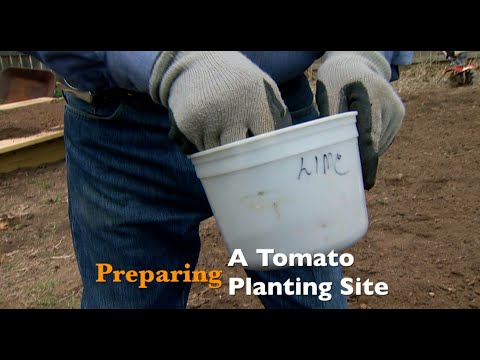 ვიდეო: როგორ შევქმნათ ბაღი ბოთლში: 6 ნაბიჯი (სურათებით)