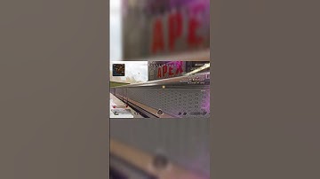 No Gun No problem!🤣🤝 (Trawcommando mini clip) #apexlegends #apex #gaming #foryou