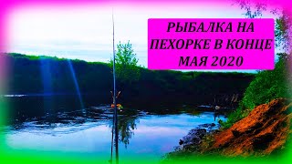 Видео о рыбалке в конце мая на р. Пехорке. Английская донка, фидерная ловля на реке.