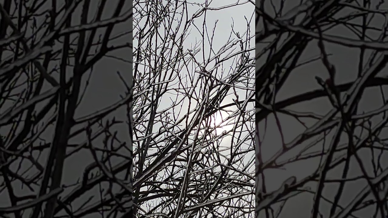 ТАК, СОНЦЕ СВІТИТЬ, АЛЕ НЕ ГРІЄ...