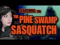 Bigfoot research searching for the pine swamp sasquatch  new bigfoot documentary