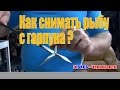 Подводная охота: Как снимать рыбу с гарпуна?