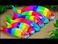 Stop Motion Cooking ASMR Colorful Koi Fish Cow, ikan &amp; Big Frog Peixe Koi colorido Vaca, ikan