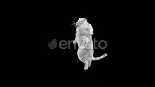 White Lion Dancing 4K | Motion Graphics - Envato elements