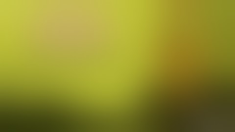 سورة البقرة الشيخ محمود القزاز (شهر رمضان الذي انزل فيه القران) روووووووووووعة