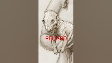 Hablemos de Dolores 🤎#jurassicworld #jurassicpark #rebirth #aquilops #dolores #dinosaurios #info