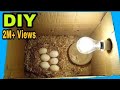 How To Make Egg incubator at Home without temperature controler | incubator for chicken eggs