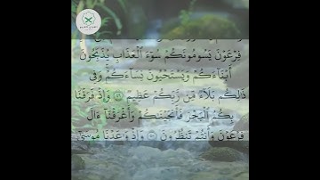سورة البقرة  الشيخ محمد الفقيه  #اكسبلور #تيك_توك #دويتو #forupage #quotes #quran #duet #peace #love