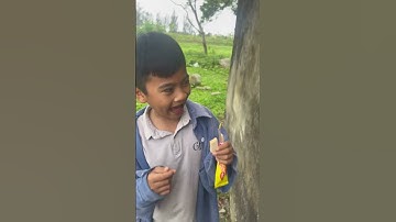 Cậu bé troll việt nam lừa đồ ăn của chủ quán bá đạo￼ và cái kết  #shorts