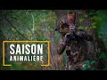 Saison animalière 2020 - Mes plus beaux moments !