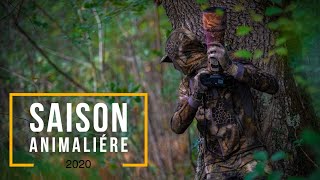 Saison animalière 2020 - Mes plus beaux moments !