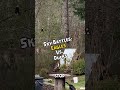 Bird Wars: Eagles Attack Our Farm Ducks, Ravens Step In, Ultimate Bird Fight Ensues (Episode 2)