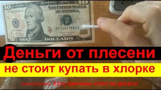 картинка: Денежные купюры от плесени не стоит купать в хлорке полностью. Есть причины этого не делать!